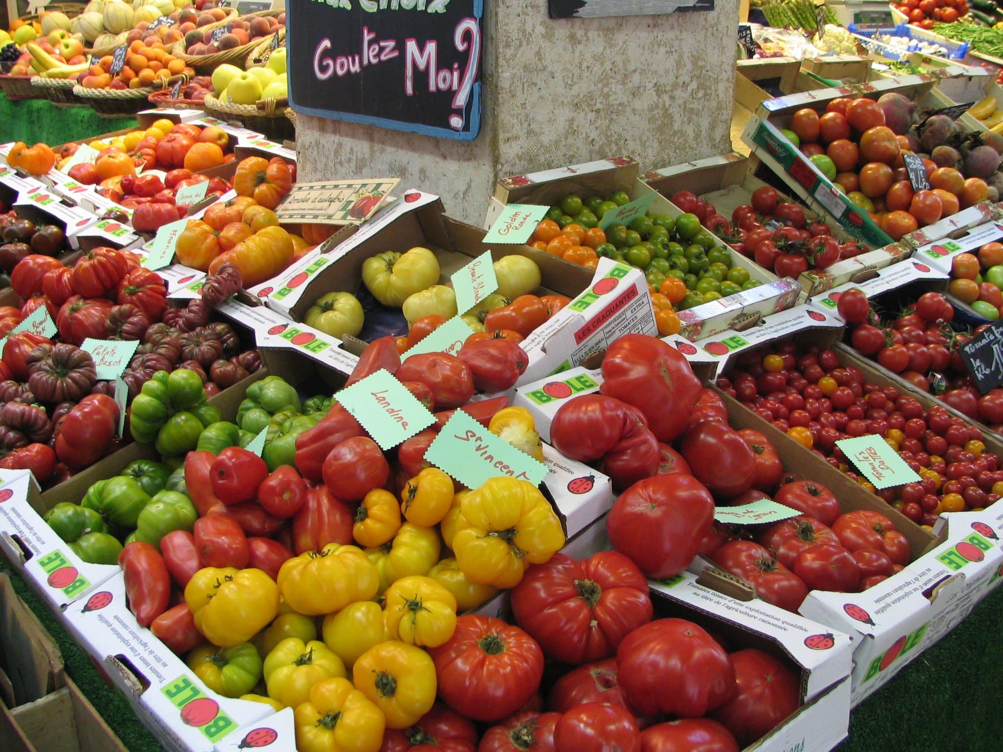 Warum schmecken Tomaten im Sommer besser? – Das Geheimnis hinter Sonne, Aroma und Pflanzenkraft